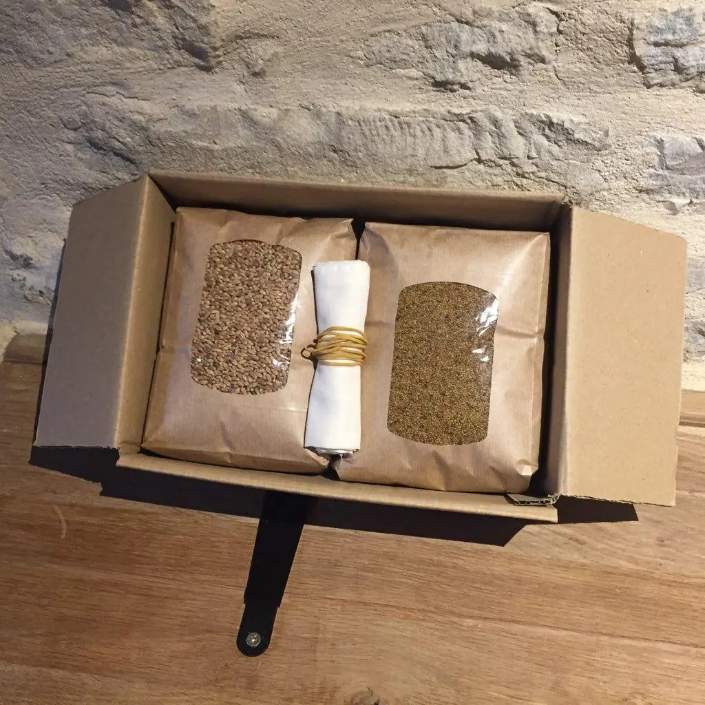 Kit graines de Blé et Alfalfa – Image 6