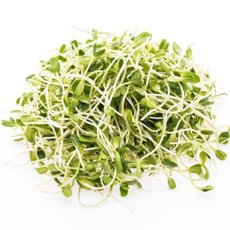 Young sunflower sprouts vegetable isolated on white background